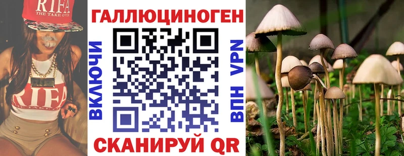 Купить  Касли  Галлюциногенные грибы Cubensis 