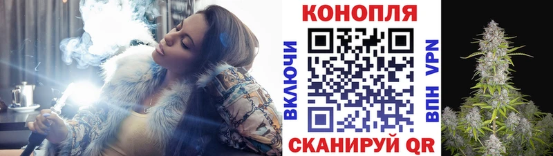 Купить  Касли  МАРИХУАНА ГИДРОПОН 